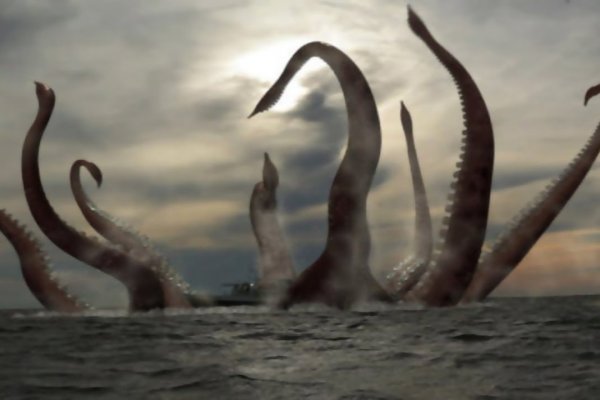 Kraken market3