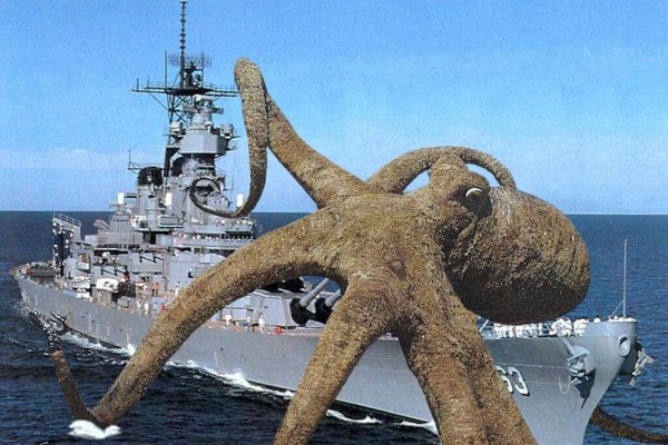 Kraken online
