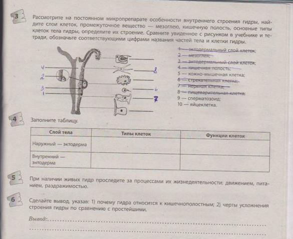 Как зайти на кракен с айфона