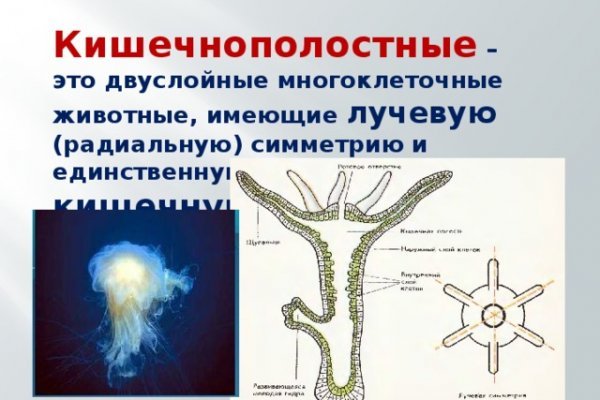 Кракен даркнет маркет ссылка на сайт тор